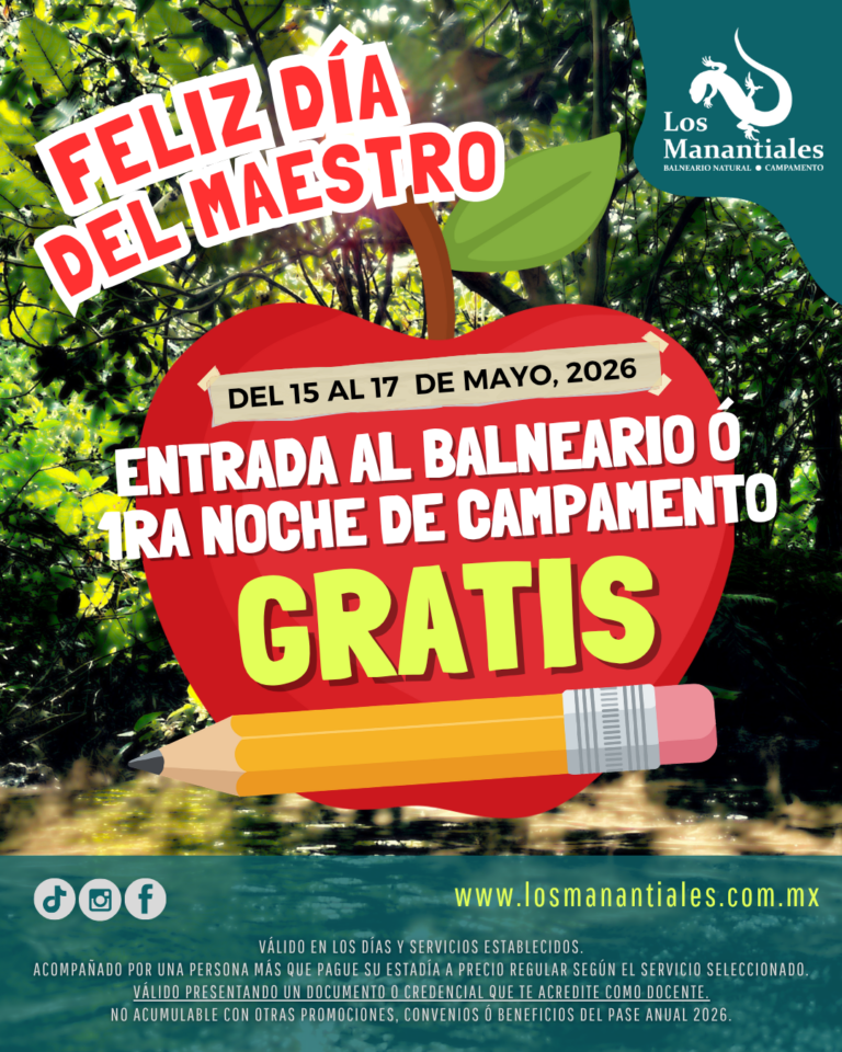 PROMO DÍA DEL MAESTRO